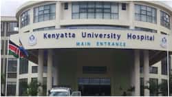 Auditor General's Report Shows 47% of Kenyatta University Hospital Employees Are from One Ethnic Community