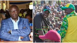 Rigathi Gachagua Links Kalenjin Youths to Cattle Rustling: "Kazi Ni Kuiba Mifugo"