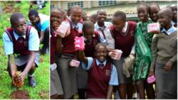 Vihiga Model Celebrates 15th Birthday by Distributing Pads to Needy Girls, Planting Trees