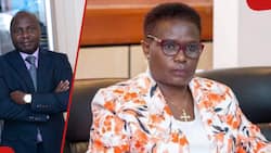 Donald Kipkorir Blames Kawira Mwangaza's Impeachment on Meru's Patriarchal Culture