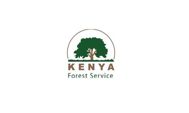 Kenya Forest Service vacancies