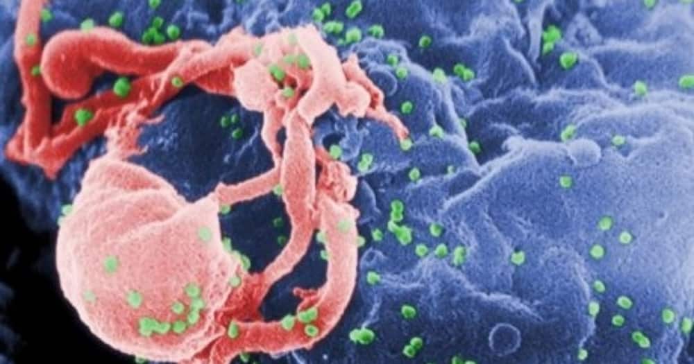 Hope at last as another man is successfully cured of HIV
