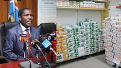 Peter Munya Suspends KSh 100 Maize Flour Subsidy Programme, Cites Inadequate Funds from Treasury