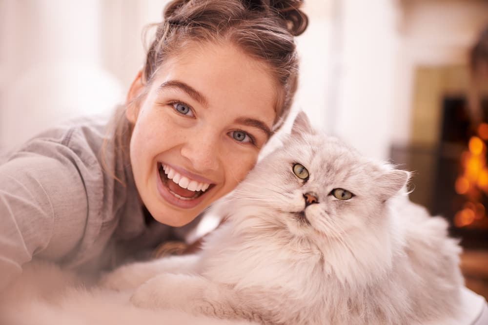 200+ trending cat hashtags to grow your Instagram or TikTok account