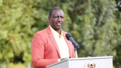 Analysis: Gamble, Miscalculations Likely to Cost William Ruto the Presidency