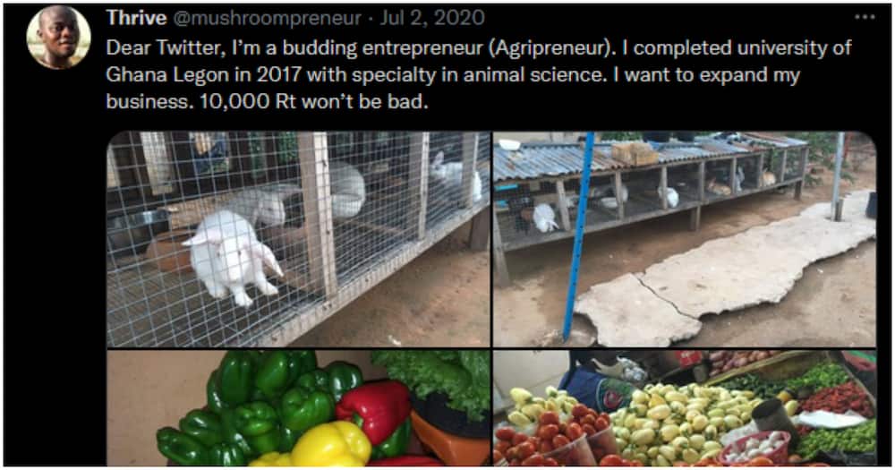 University graduate resorts to selling vegetables to make ends meet after failing to land a job