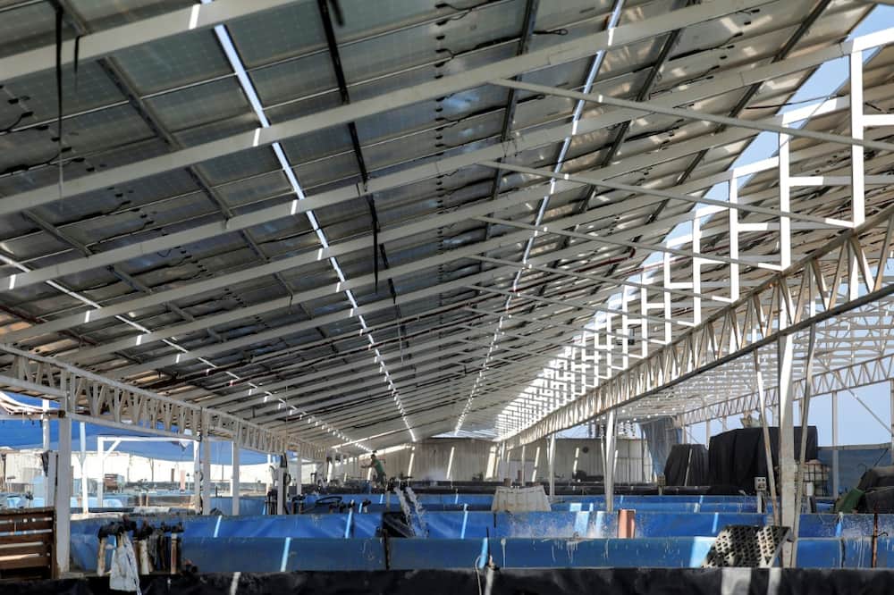 A solar farm facility in Gaza, which also offers shade for fish pools underneath