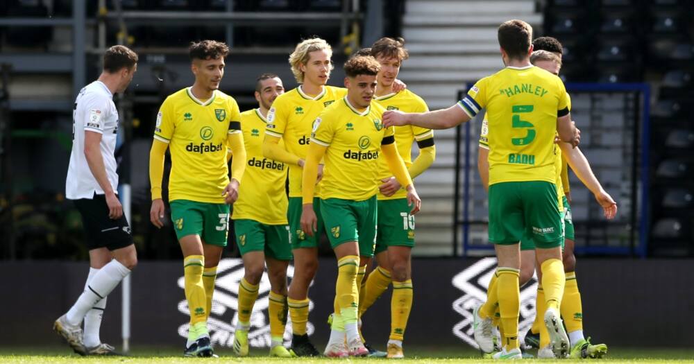 Norwich City Promoted Back to The Premier League at The First Attempt