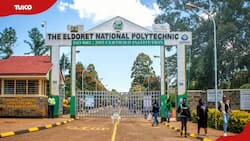 D courses in Eldoret Polytechnic with admission requirements