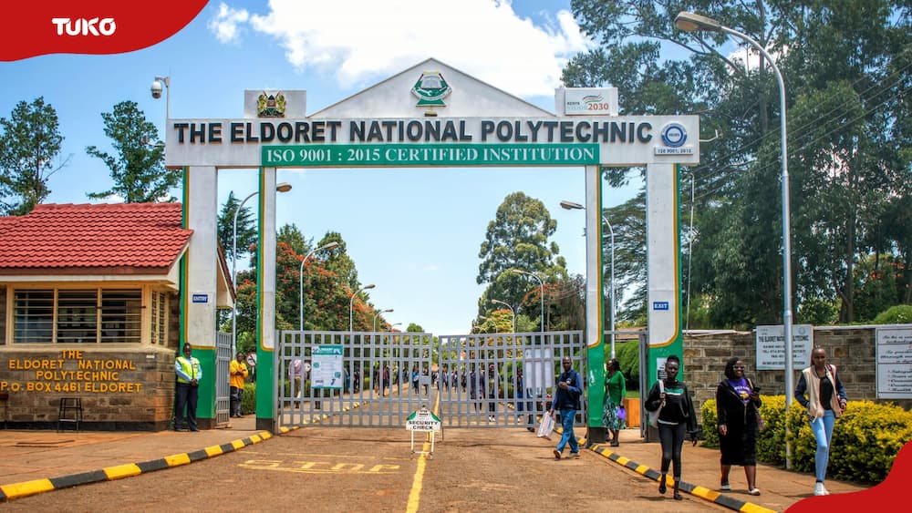 D courses in Eldoret Polytechnic