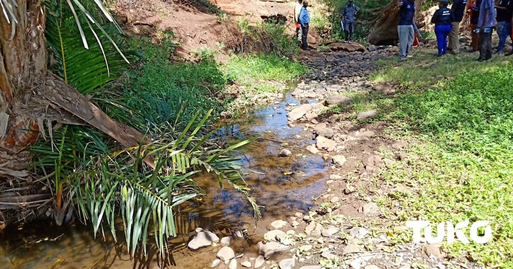 Ewaso Nyiro basin