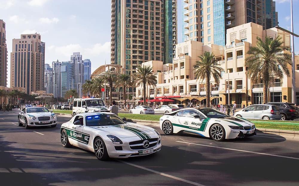 Dubai police fines: list, inquiry, how to pay
