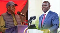 Raila Odinga Directs Azimio MPs to Oppose New Taxes Proposed by William Ruto's Gov't: "Irrational"