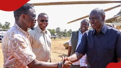 6 Projects William Ruto Will Launch in Western Kenya during 5-Day Tour: "Industrial Park, University Library"