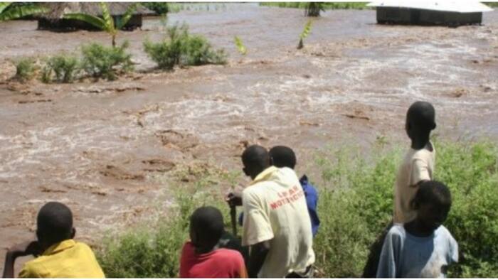 Why Kenyans Must Care about Climate Change and Join Campaign to Fight it