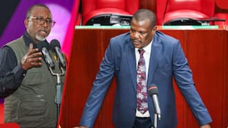 MP Wamboka Tells CS Linturi to Stop Dragging Ex-Wife Marianne Keitany into His Issues: "Achika"