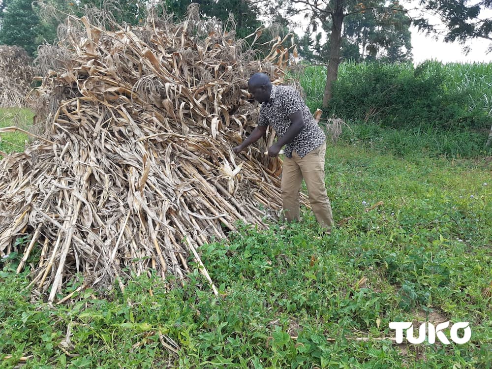 Meet Bungoma MCA who hawked samosas after dropping out of school