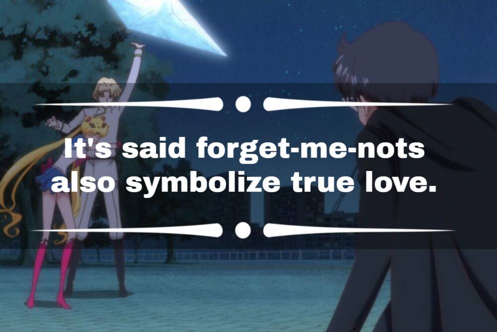 Sailor Moon quotes