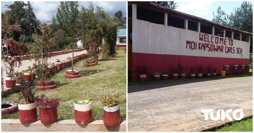 Instead of disposing off the old tyres, Madam Hellen Mabese uses them to beautify her school.