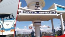 Kenyatta University Shares Contacts Through Which One Can Get Feedback about Tragic Accident