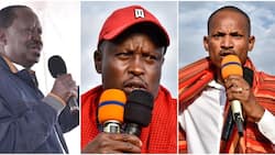 Babu Owino Vouches for Kanini Kega to Be Raila Odinga's Running Mate: "Ametosha"