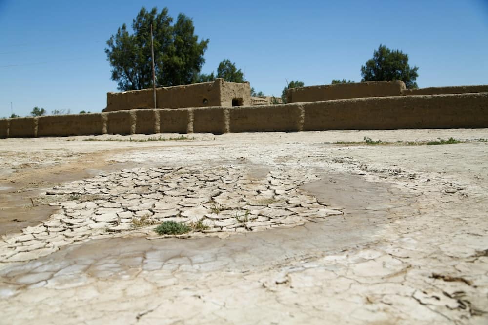 Worsening droughts have hit Iraq and over the past four years prompted Iraqi authorities to drastically limit areas under cultivation