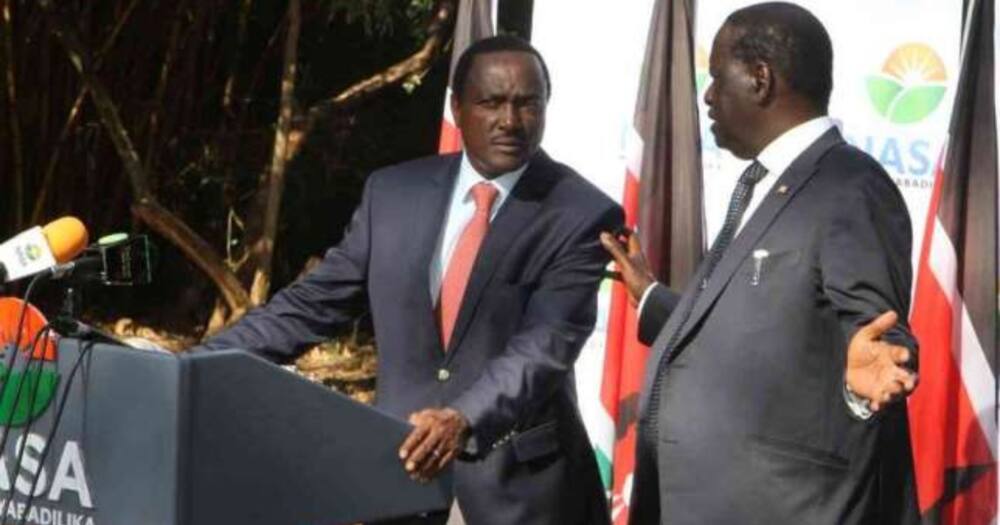 Former NASA principals Raila Odinga and Kalonzo Musyoka at a press briefing in 2017.