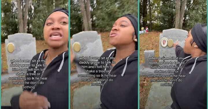 Lady visits late father's grave, asks him to shake tree