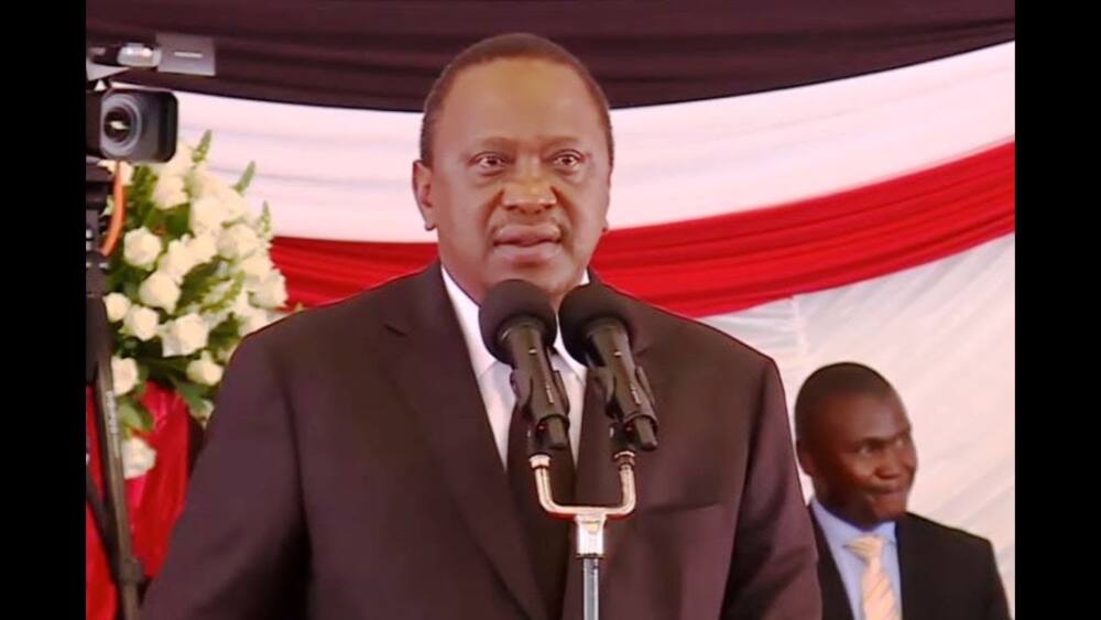 Kenya si ya makabila mawili pekee, Rais Uhuru asema kuhusu 2022