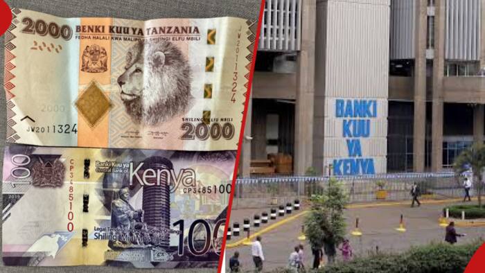 Kenyans React to Claims Banki Kuu on KSh Notes is Wrong, TZ's Benki Kuu is Correct: "Bora ni Pesa"