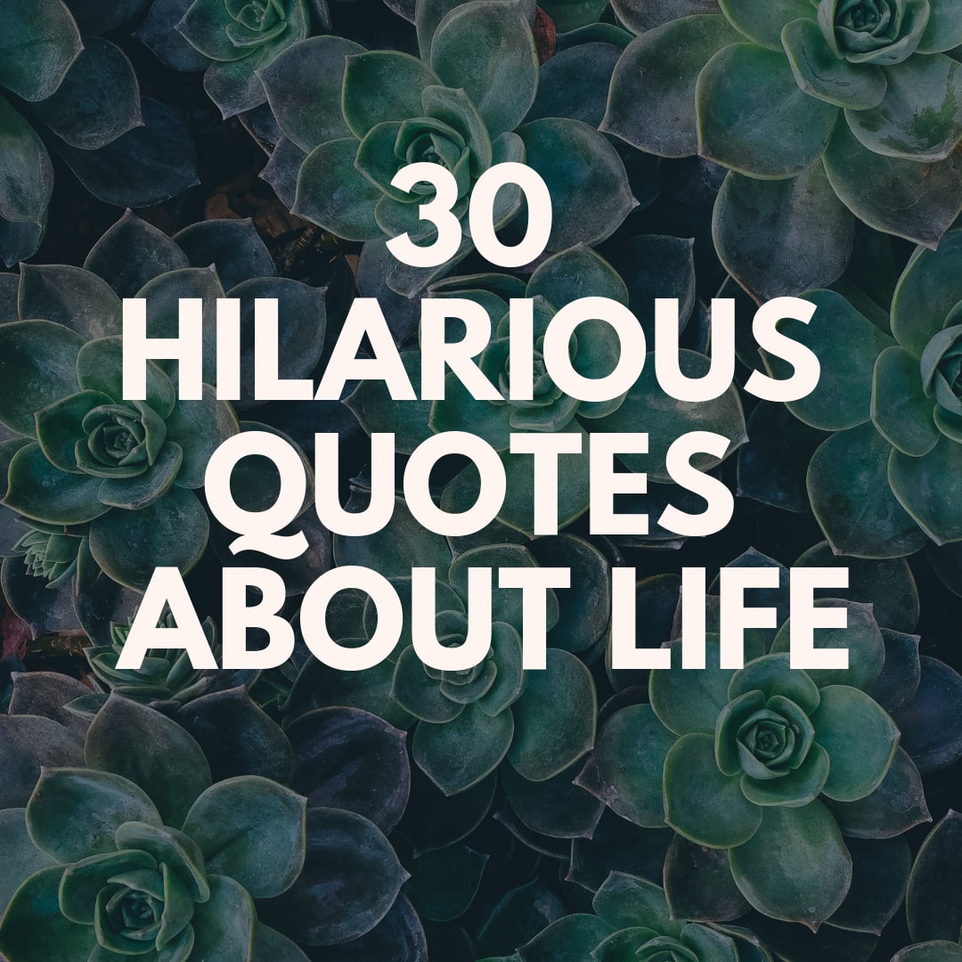 funny quotes about life in general