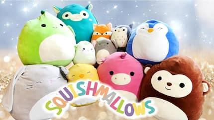 How to spot fake squishmallows easily in a few simple steps - Tuko.co.ke