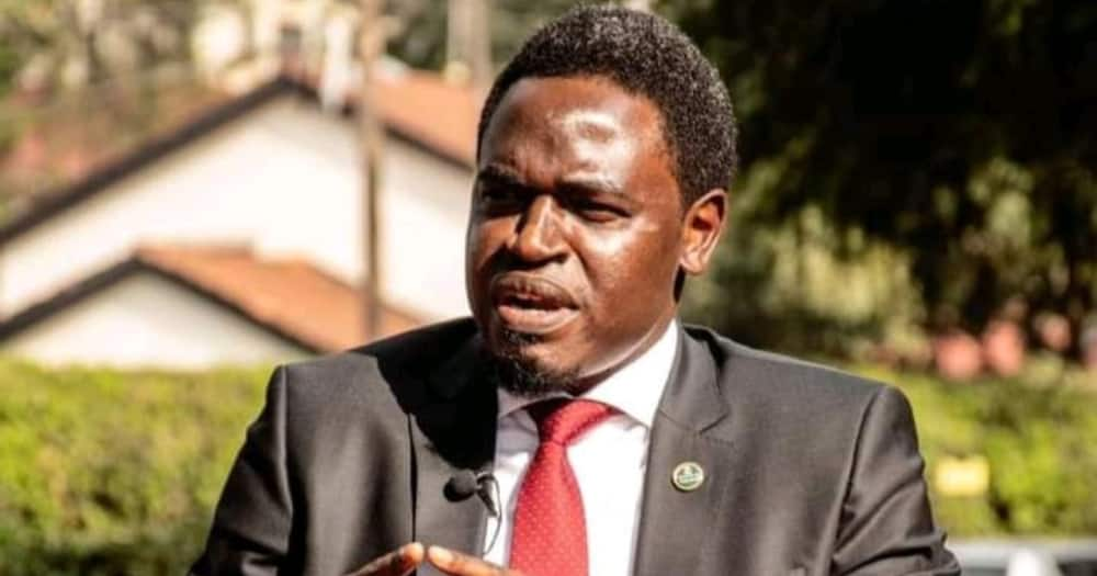 LSK President Nelson Havi Declares Interest in Succeeding Tim Wanyonyi as Westlands MP