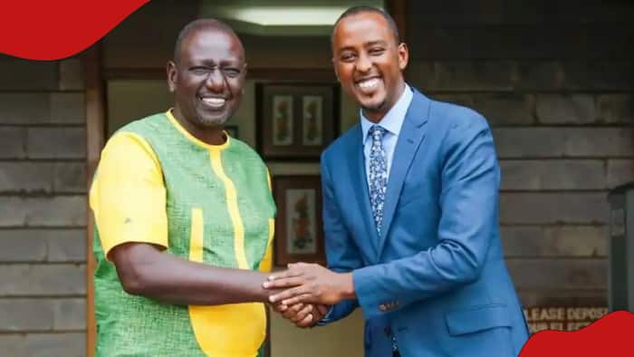 Kenyans Slam Hussein Mohamed for Amplifying William Ruto's Booming Economy Claims: "Weka WhatsApp"