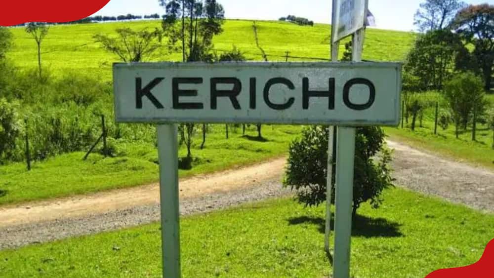 Kericho Sub-Counties