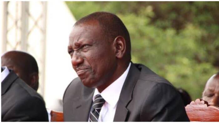 Kenyans Remind William Ruto's Gov't About Failed Promises, 100 Days in Office