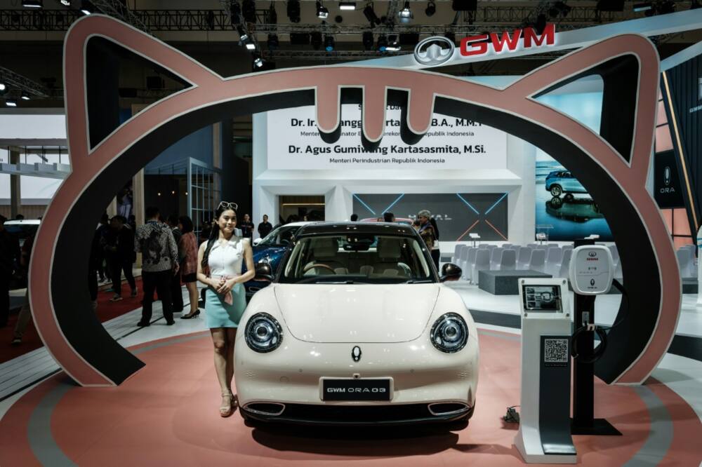 The share of Chinese electric car brands in Europe is small, reaching 6.1 percent between January and July this year