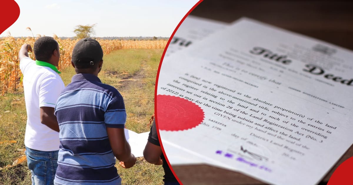 Lost Your Land Title Deed Cost Of Replacing Title Deed In Kenya Steps To Follow Ke 