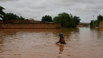 Nearly 200 dead in Niger floods