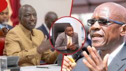 Boni Khalwale Slams Ruto for Meeting Luhya Leaders Without Mudavadi, Wetang'ula: "Don't Lose Focus"