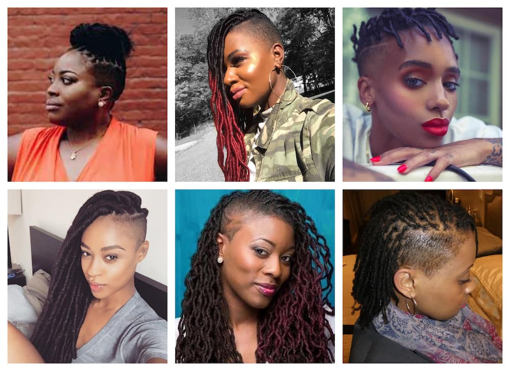 Locs with shaved sides for females