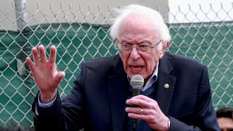 US senator Sanders urges respect for Brazil presidential vote