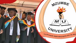 Mzumbe online application for 2024/2025 university intake: courses, requirements, fees