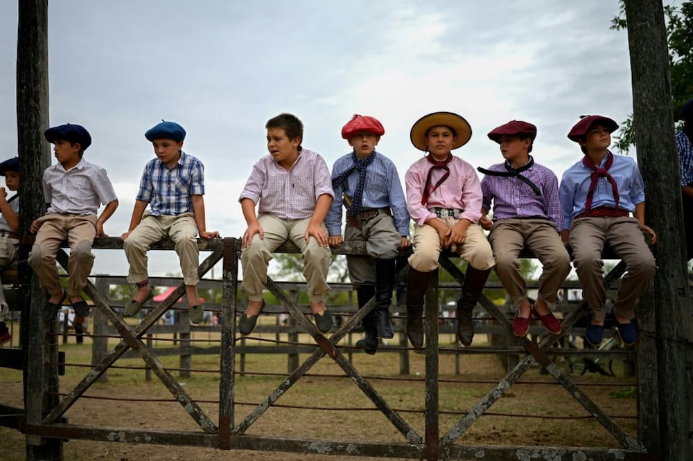 In gaucho communities, horses are mounted with dexterity by children and octogenarians alike