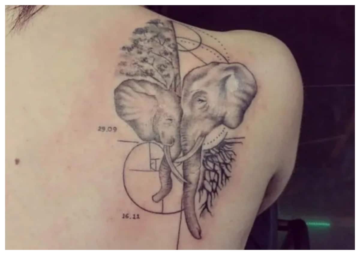 25 Unique Elephant Tattoos On Hand  Tattoo Designs  TattoosBagcom