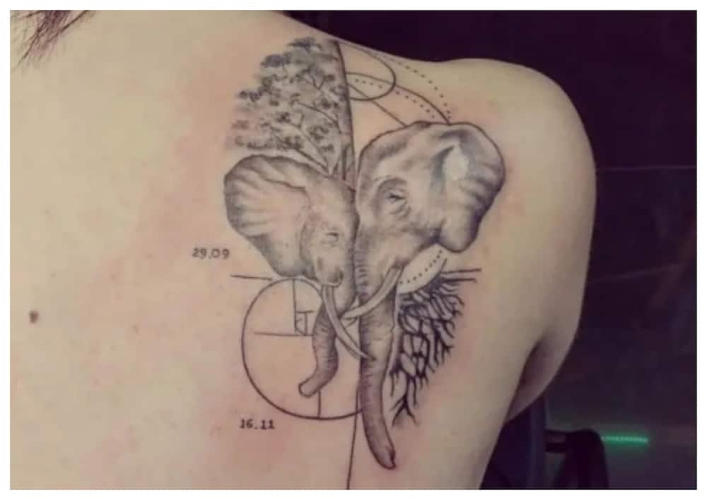 cute 2 elephant tattoos