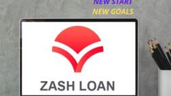 Zash loan app: requirements, application, limit, paybill, contacts