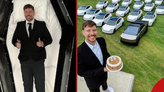 Mr Beast to Give Away 26 New Tesla Cars to Celebrate His Birthday, Gives Effortless Conditions