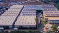 Juja Firm Avoids High KPLC Bills, Uses 1,380 Solar Panels to Melt, Manufacture Plastic