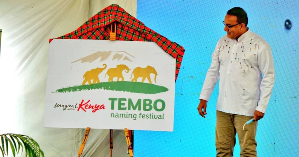 Tourists Can Now Pay KSh 500,000 to Name Elephants, Najib Balala